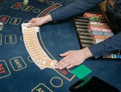 The Ultimate Guide to Baccarat Succes