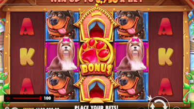 Choosing the Right Online Casino for Slots: A Complete Guide